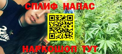 МДПВ Будённовск