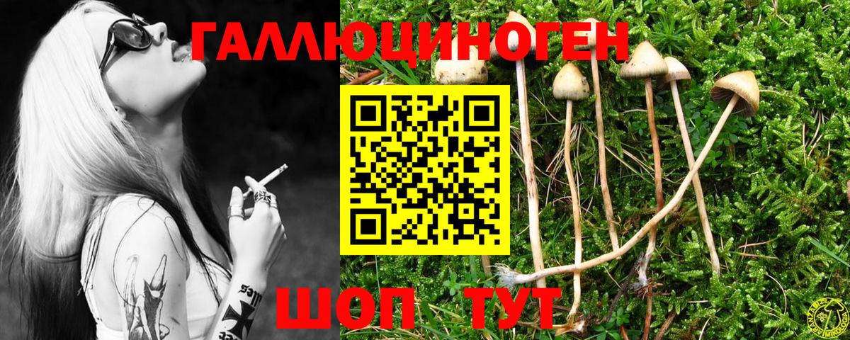 Галлюциногенные грибы мицелий  Вход с VPN  Сегежа  Галлюциногенные грибы ЛСД 